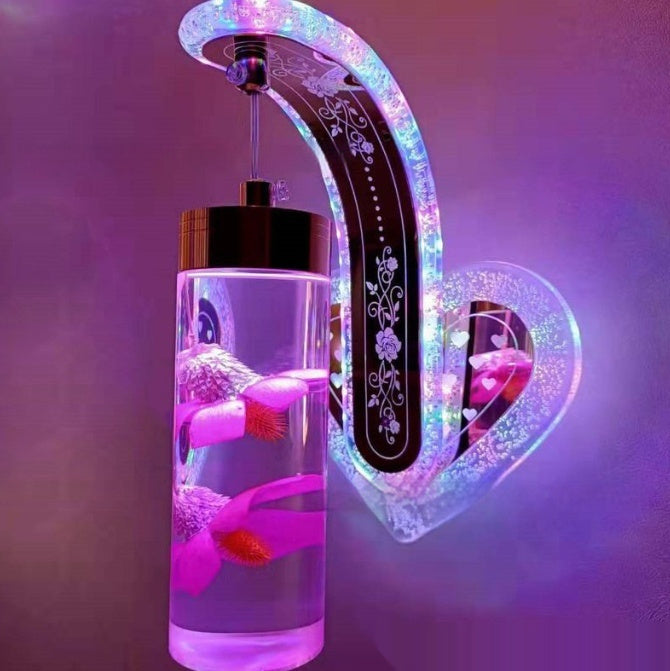 Oval Acrylic Crystal Hanging Decorative Wall Lamp